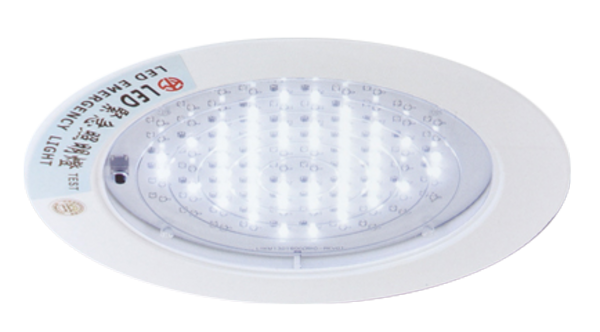 LED緊急照明燈, 嵌頂式